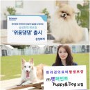 위풍댕댕 이미지