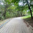 오시나래세탁 앞 | 안성 비봉산 등산 후기 🌿 C코스 (안성향교-비봉나래), 초보도 가능한 힐링코스