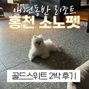 골드테라스2 | [홍천 소노펫] 골드스위트 2박 후기 (애견동반리조트)