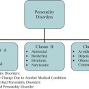 주요 용어 schizoid vs schizotypal 이미지