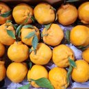 태영금동 이미지