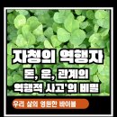 역행 | 자청의 역행자 독서 후기, 평범한 삶을 뒤집는 돈, 운, 관계의 &#39;역행적 사고&#39;의 비밀