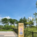 댕댕보스 이미지