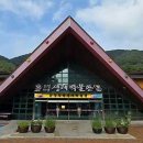 자연생태박물관 이미지