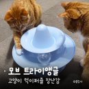 블루트라이앵글(BLUE TRIANGLE)