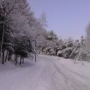 횡계의 겨울(가을동화 삼양목장과 용평의 눈 풍경) 이미지
