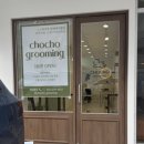 그루밍샵 | 동탄애견미용샵 쵸쵸그루밍 - 모찌 미용 후기