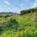 창녕군도천면논리보건진료소 이미지