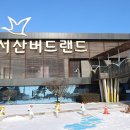 25. 01. 10일 충남 서산 버드랜드 &amp; 간월암 &amp; 홍성 스카이타워 &amp; 해미 읍성 이미지