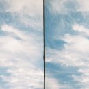 디자인트윈