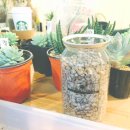 은원농장 이미지