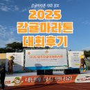 감귤향기 | 제주 감귤마라톤 코스 및 기념품 배송 꿀팁 (내년 준비 필독)