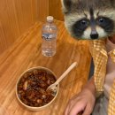 구인농장 | 호주에서 스시 롤메이커로 일하면 얼마나 벌까?(Sushia 스시아 근무 후기, 워홀 구직 꿀팁, 지원방법)