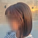 배울로2 이미지