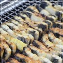 금빛장어 이미지