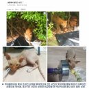 덕진-53 이미지