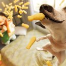 알사탕 문화일보