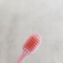 [대마도 추천쇼핑템] 일본 오라투 스테인 클리어 치약& 에스비 덴티프로 치솔 솔직후기