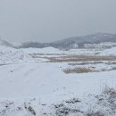 우량농지 조성공사 | 세종시 농지 관리의 새로운 기준: 절토·성토 사전신고제와 안전한 토지 개발 전략