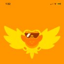 고양이입양소 이미지