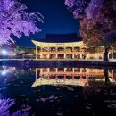 가나안모텔 | 남원 광한루원 야경과 가을풍경(221104)