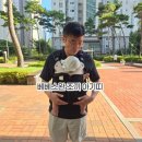 (공구중) 베베스완 아기띠