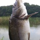 어둔저수지 | 어둔저수지 낚시여행후기