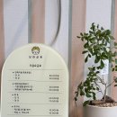 개들의 집 펫살롱 | 광주 묘한살롱 고양이전문샵에서 만난 편안한미용시간 예쁜대기공간까지 완벽