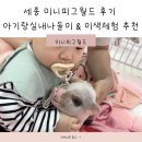 피그월드 | 세종 미니피그월드 후기 아기랑실내나들이 &amp; 이색체험 추천