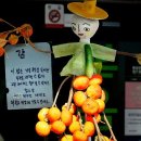 단감