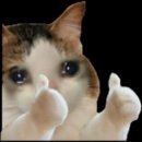 씨네필2 | 안씨네필의 씨네필인척 연기하는 blog