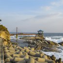 동해바다 이미지