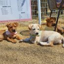 코코앤잭슨 이미지