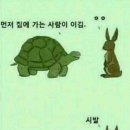 토끼와거북이 이미지