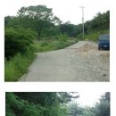 약대울목장 Daum카페