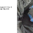 어스앤어스