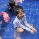 괘법한신유치원 이미지