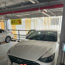 전.금강카크리닉 | 제주 금강렌트카 전연령 후기