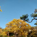 김포 다도박물관 | 강화도 가볼만한곳 강화도 전등사 단풍 시기