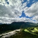 소노펠리체 델피노 이미지