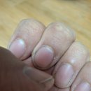 인엔케이 | 손톱솔 (식공구 엔케이) 솔직후기