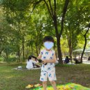 나비꼬마김밥 이미지