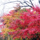 곡성생태체험관 이미지