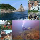 서귀포 문섬 다이빙 여행 (2017.7.13.~16) 이미지