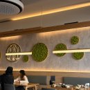 전주소바 | 전주 카츠소바미누 내돈내산 솔직후기｜전주 돈카츠 맛집