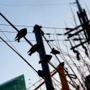 이찌방 초밥 이미지