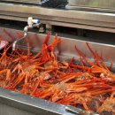 오이소홍게무한리필 | [포항 맛집] 오이소: 홍게 무한리필 찐맛집 내돈내산 후기