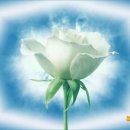 수정식품