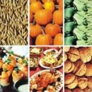 다나소아과 이미지