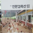 정란축산 네이버블로그